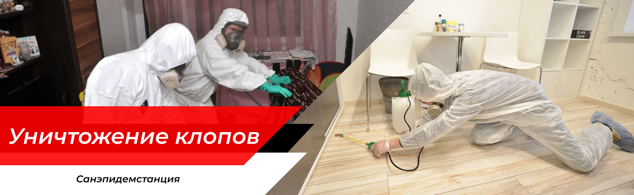 Уничтожение клопов Климовск