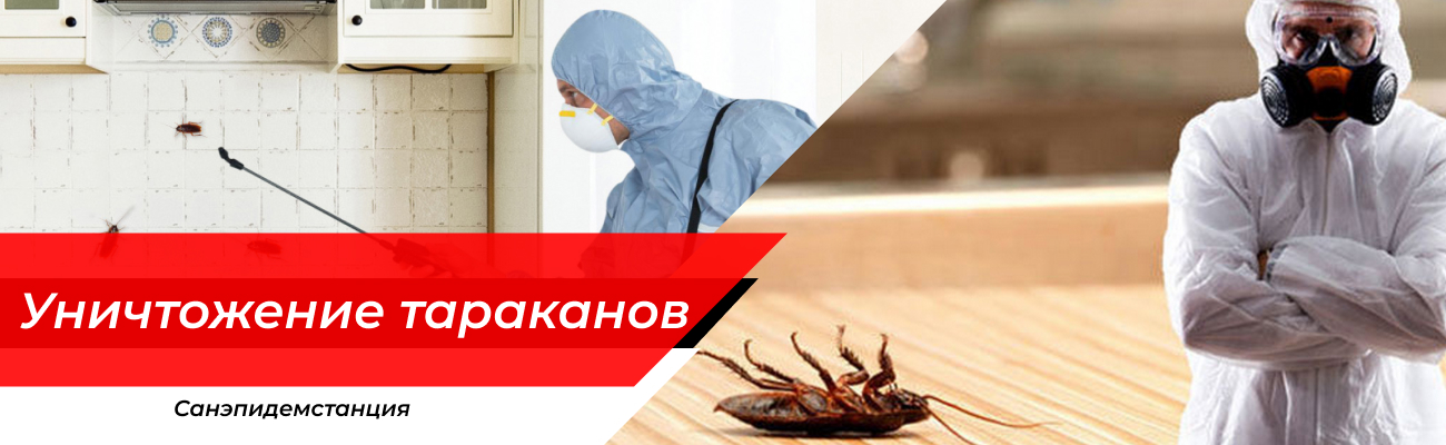 Уничтожение тараканов Климовск